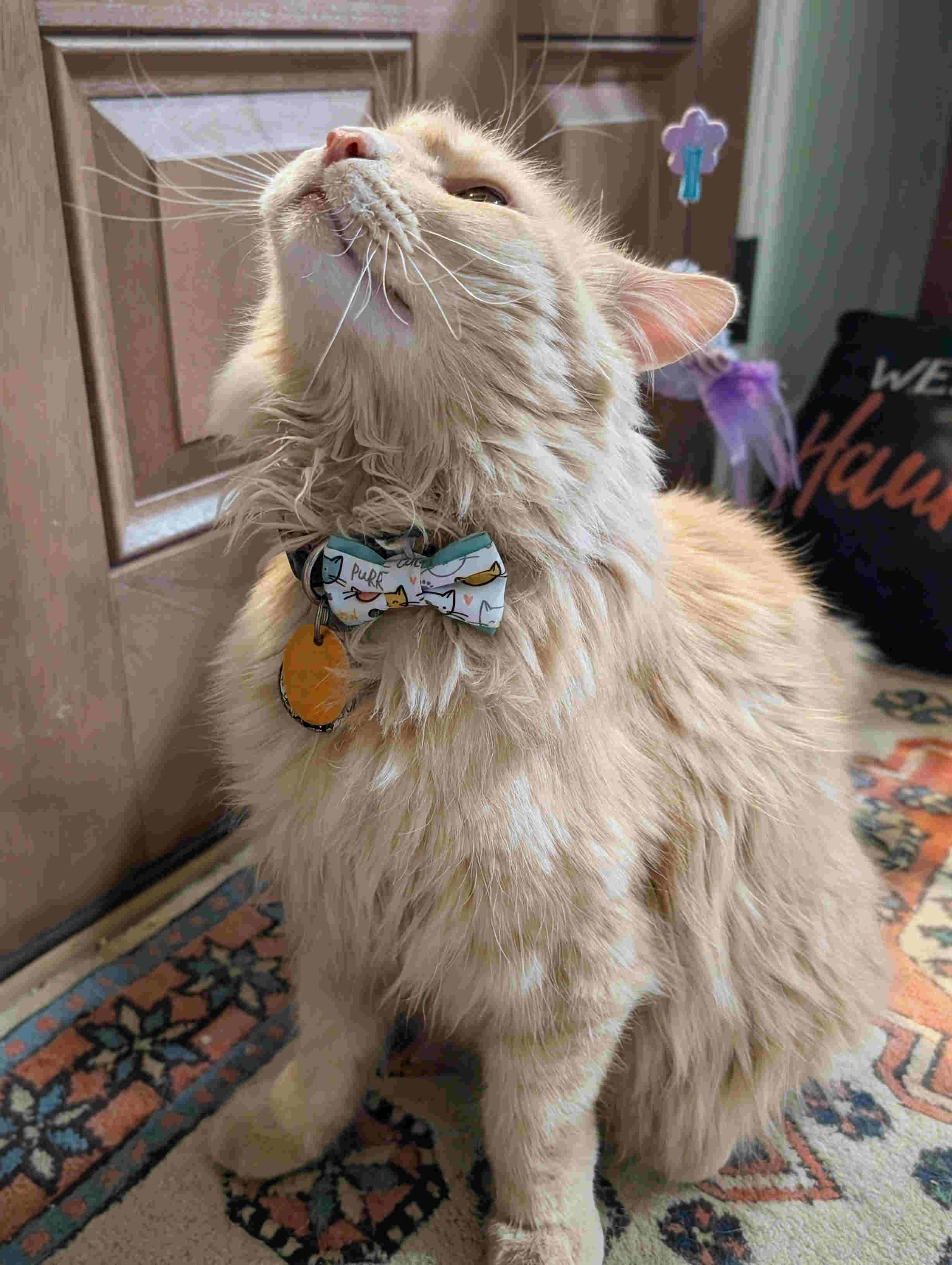 Kyo!